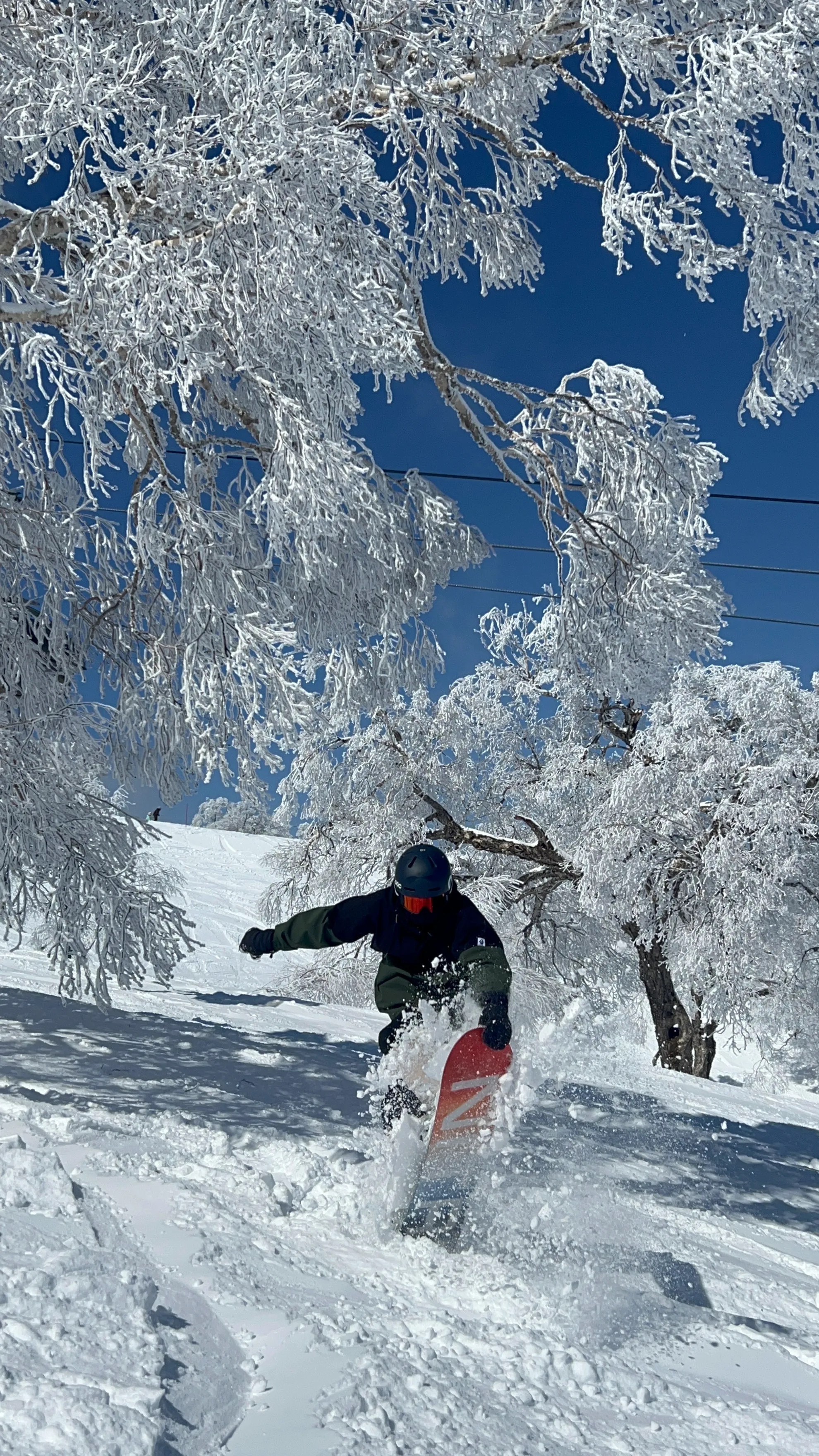 Will 教練